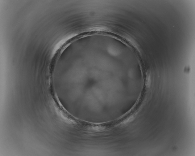 X0000110931117200906251327