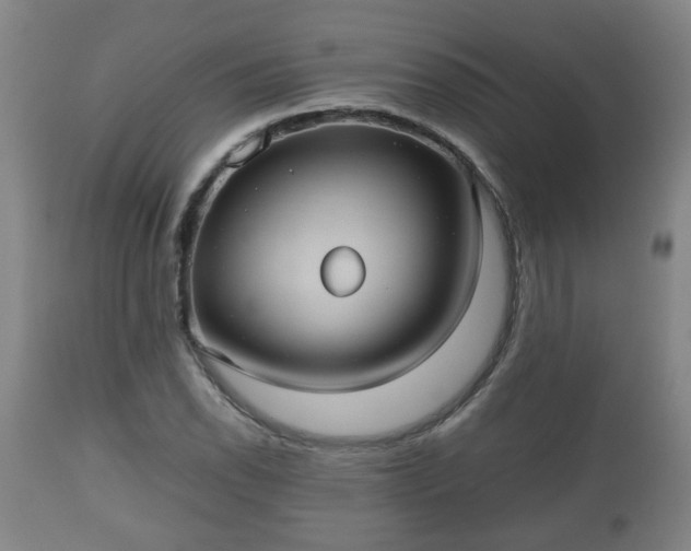 X0000110931118200906251327