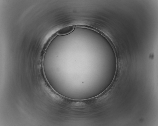 X0000110931119200906251327