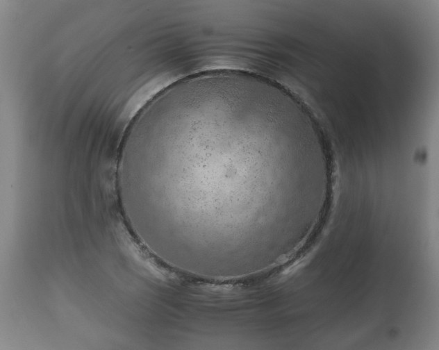 X0000110931121200906251327