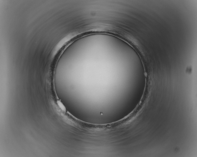 X0000110931122200906251327