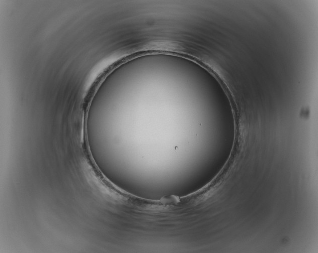 X0000110931123200906251327