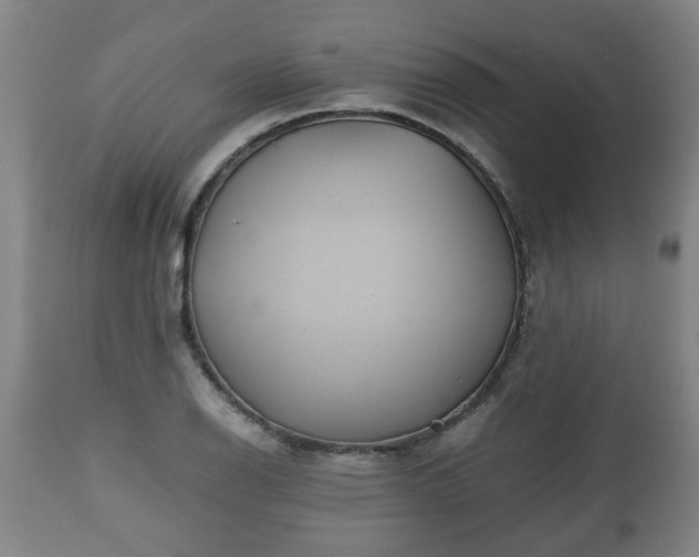 X0000110931126200906251327