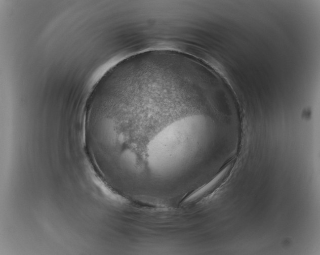 X0000110931127200906251327