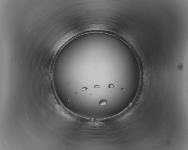 X0000110931129200906251327
