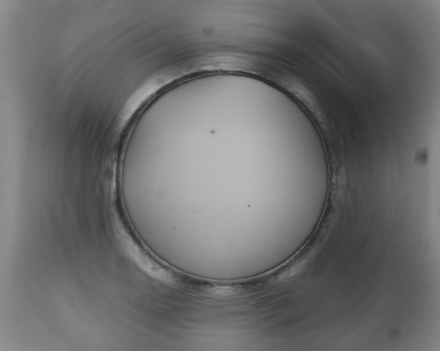 X0000110931130200906251327