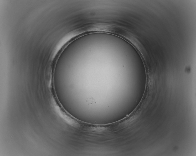X0000110931131200906251327