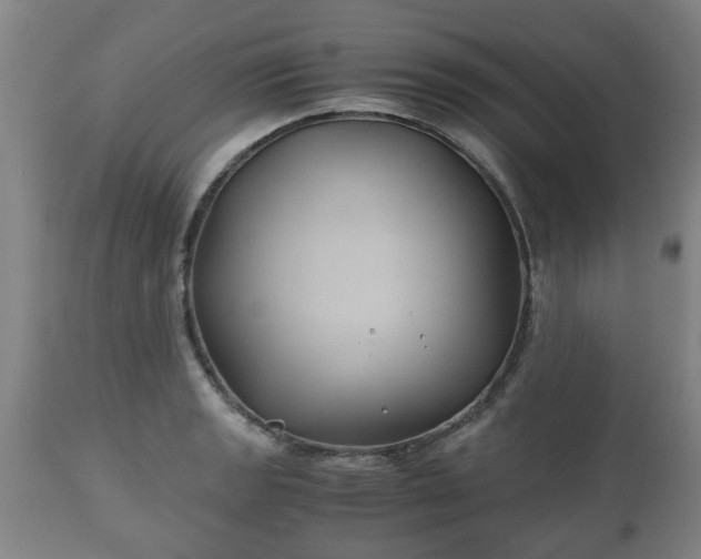 X0000110931133200906251327