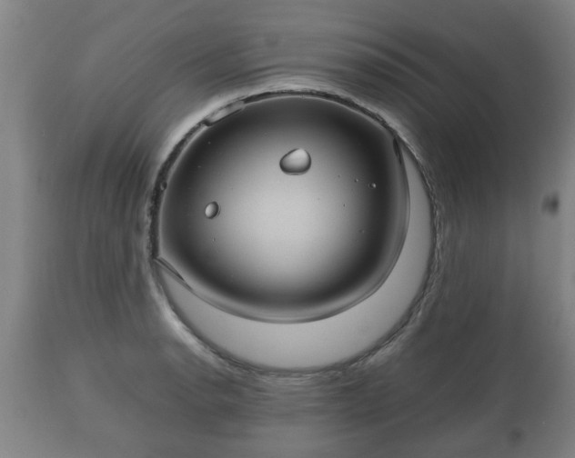 X0000110931134200906251327