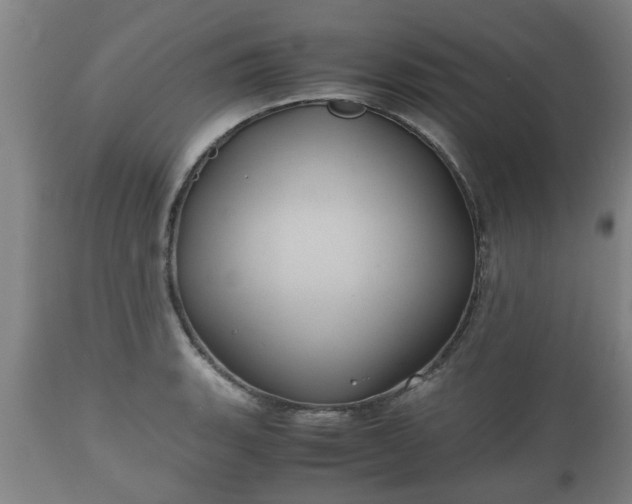 X0000110931135200906251327