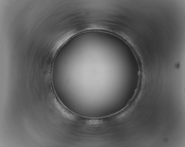 X0000110931137200906251327
