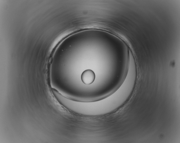 X0000110931138200906251327