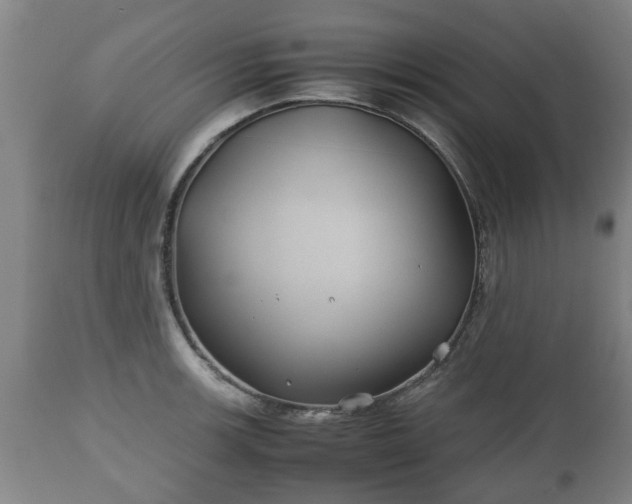 X0000110931139200906251327