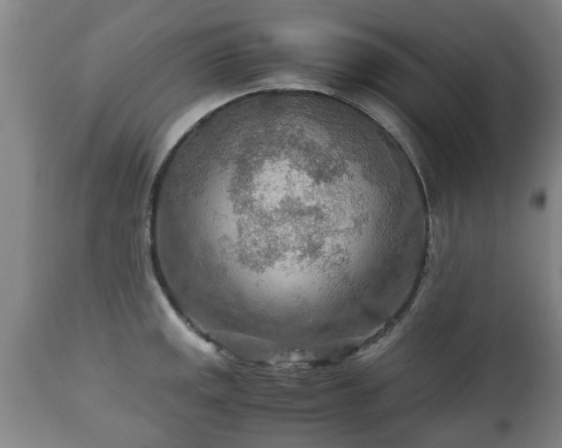 X0000110931141200906251327