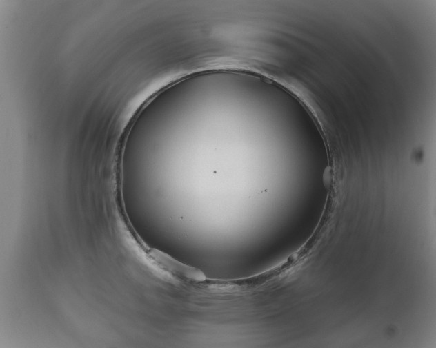 X0000110931142200906251327