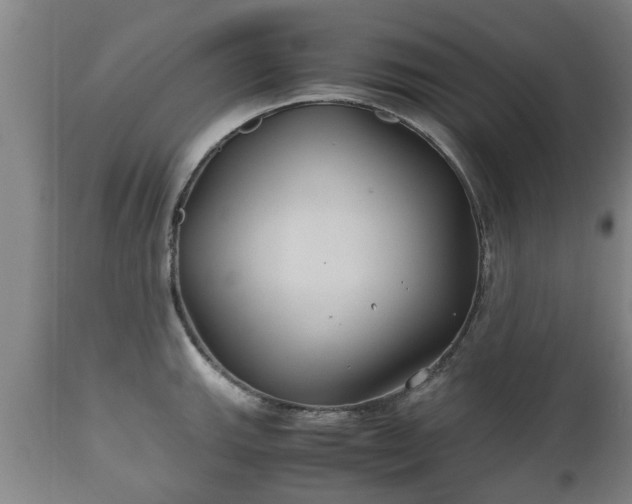 X0000110931143200906251327