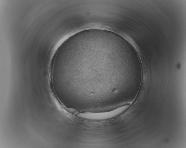 X0000110931144200906251327