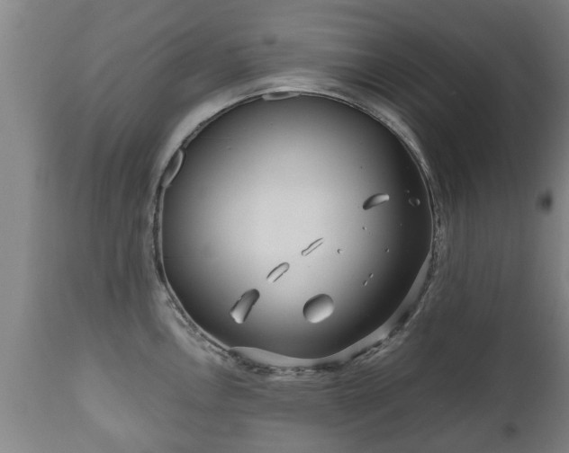 X0000110931146200906251327