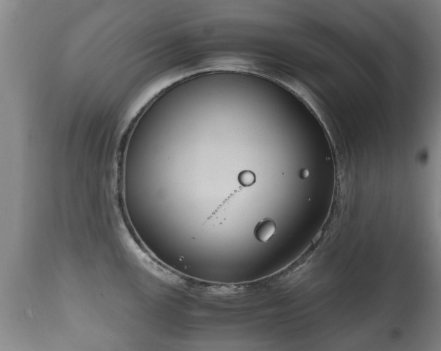 X0000110931147200906251327