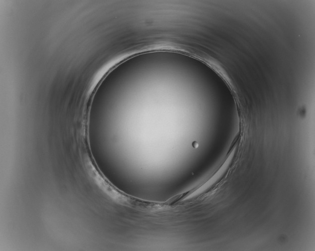 X0000110931148200906251327