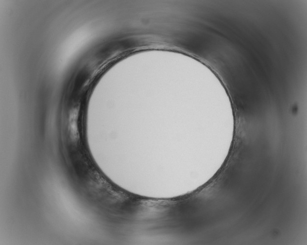 X0000110931150200906251327