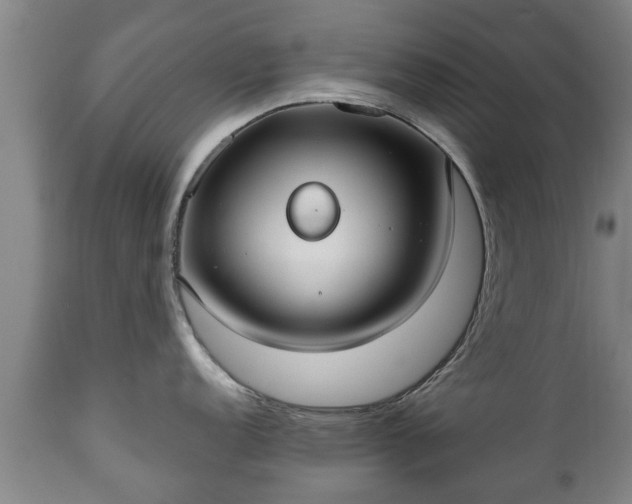 X0000110931152200906251327