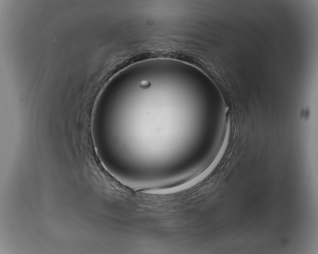 X0000110931153200906251327