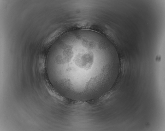X0000110931154200906251327