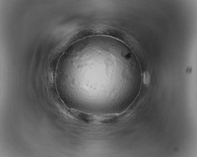 X0000110931155200906251327