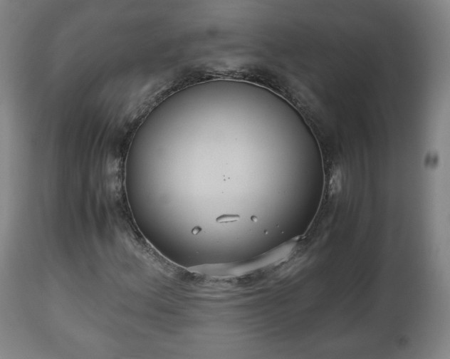 X0000110931156200906251326