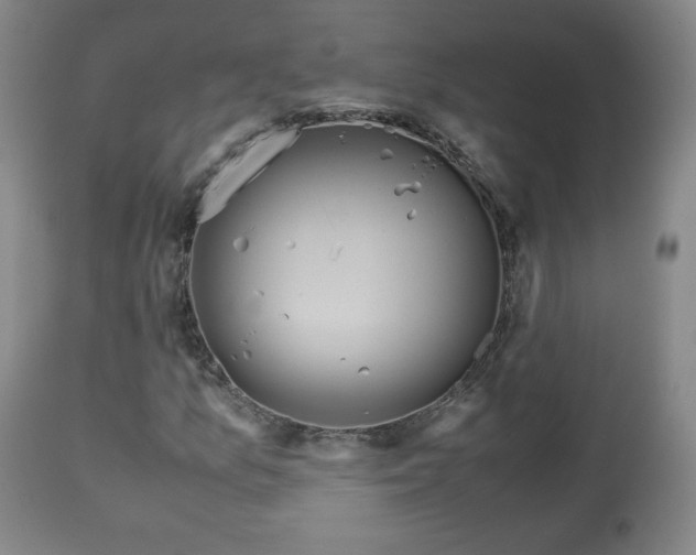 X0000110931157200906251326