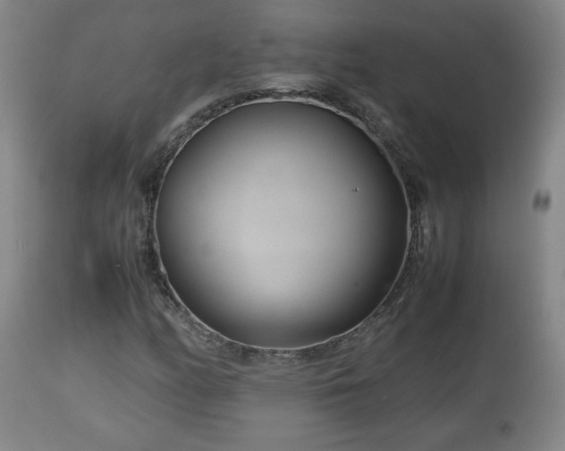 X0000110931158200906251326