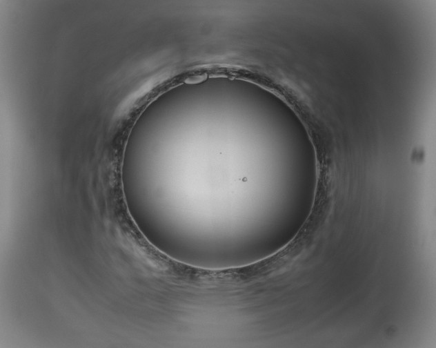 X0000110931159200906251326