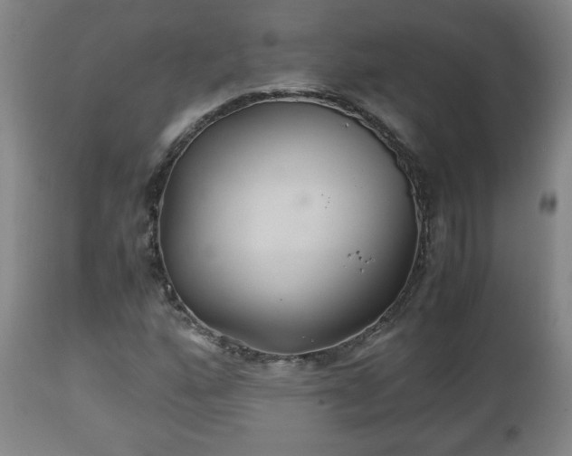 X0000110931160200906251326
