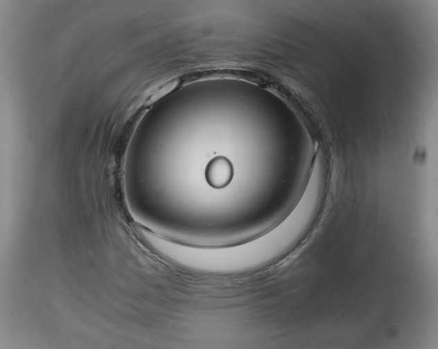 X0000110931161200906251326