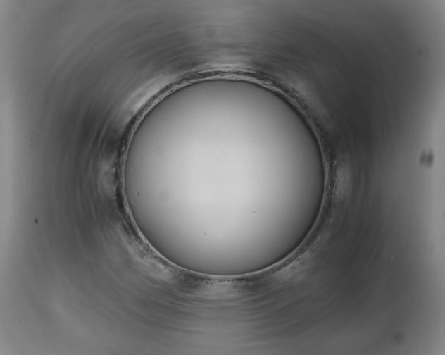 X0000110931162200906251326