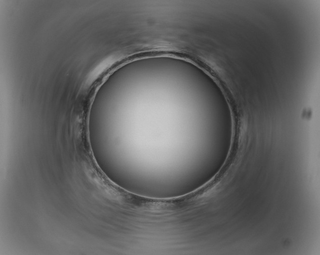 X0000110931163200906251326