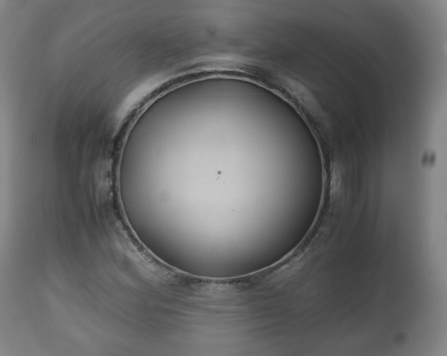 X0000110931164200906251326