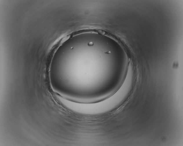 X0000110931165200906251326