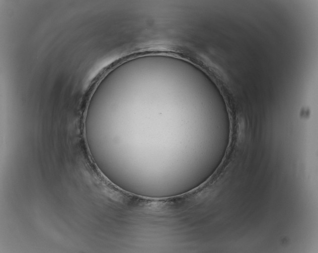 X0000110931166200906251326