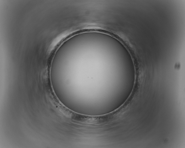 X0000110931167200906251326