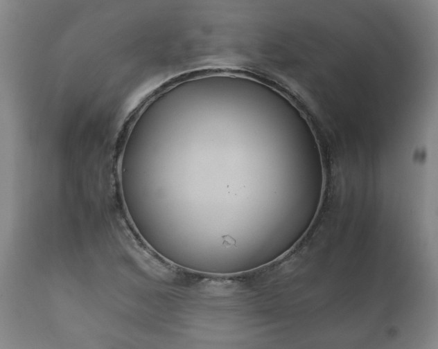 X0000110931168200906251326
