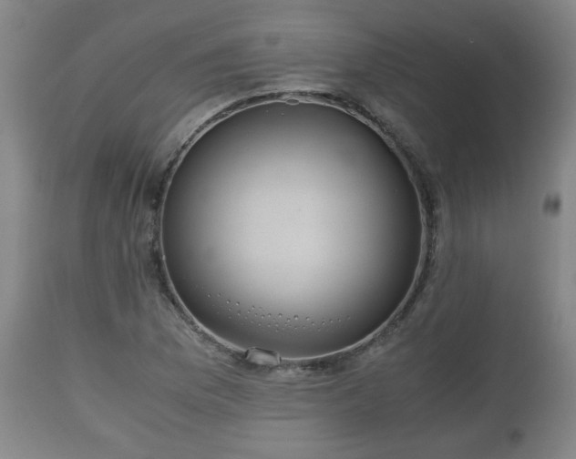 X0000110931169200906251326