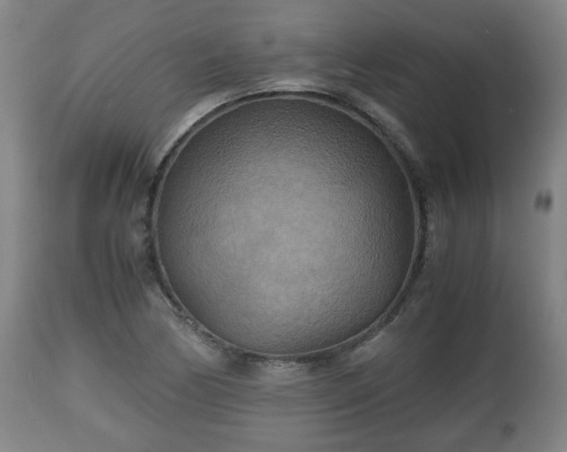 X0000110931170200906251326