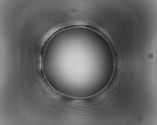X0000110931171200906251326