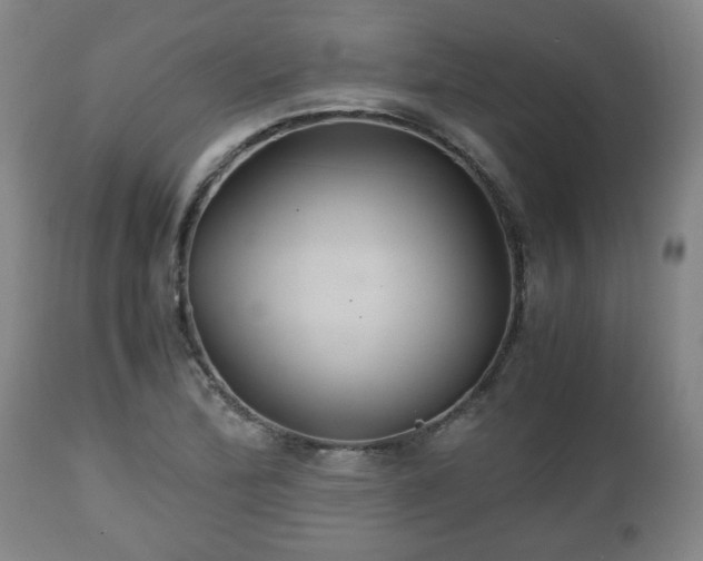X0000110931172200906251326