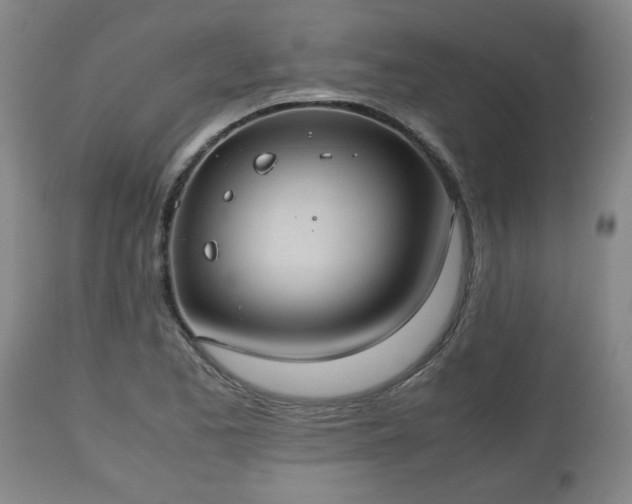 X0000110931173200906251326