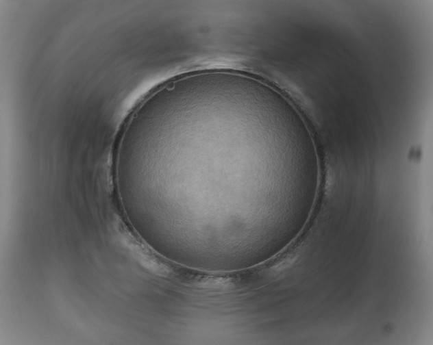 X0000110931174200906251326
