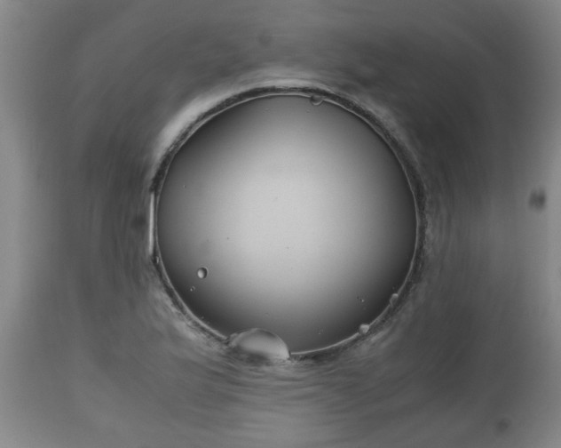 X0000110931175200906251326