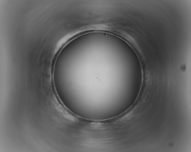 X0000110931176200906251326